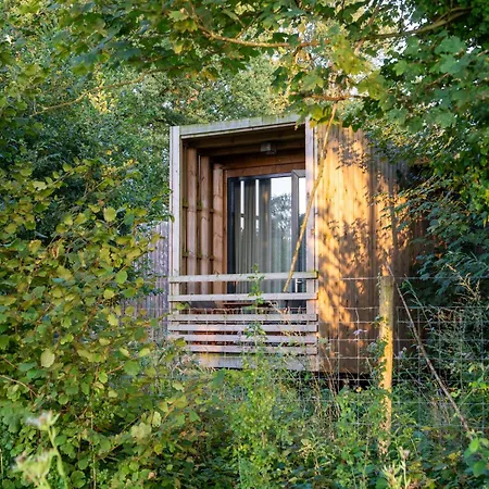 Tranquil Retreat,